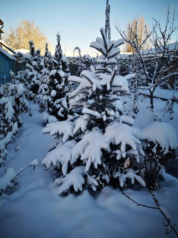Загородный Коттедж Kek-Dzhar Екстериор снимка